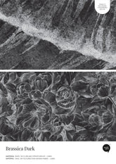 Brassica Dark – Próbka Tapety
