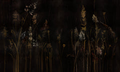Calamus – Tapeta na wymiar