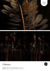 Calamus – Próbka Tapety