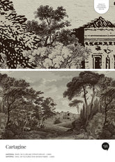 Cartagine – Próbka Tapety