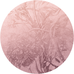 Blossom Ombre Flower – Tapeta Koło Standard