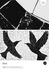Birds – Próbka Tapety