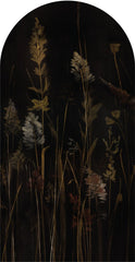 Calamus – Tapeta Łuk Standard