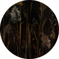 Calamus – Tapeta Koło Standard