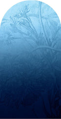 Blue Ombre Flower – Tapeta Łuk Standard