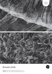 Brassica Dark – Próbka Tapety