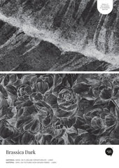 Brassica Dark – Próbka Tapety