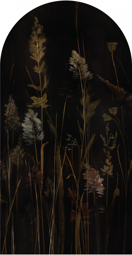 Calamus – Tapeta Łuk Standard