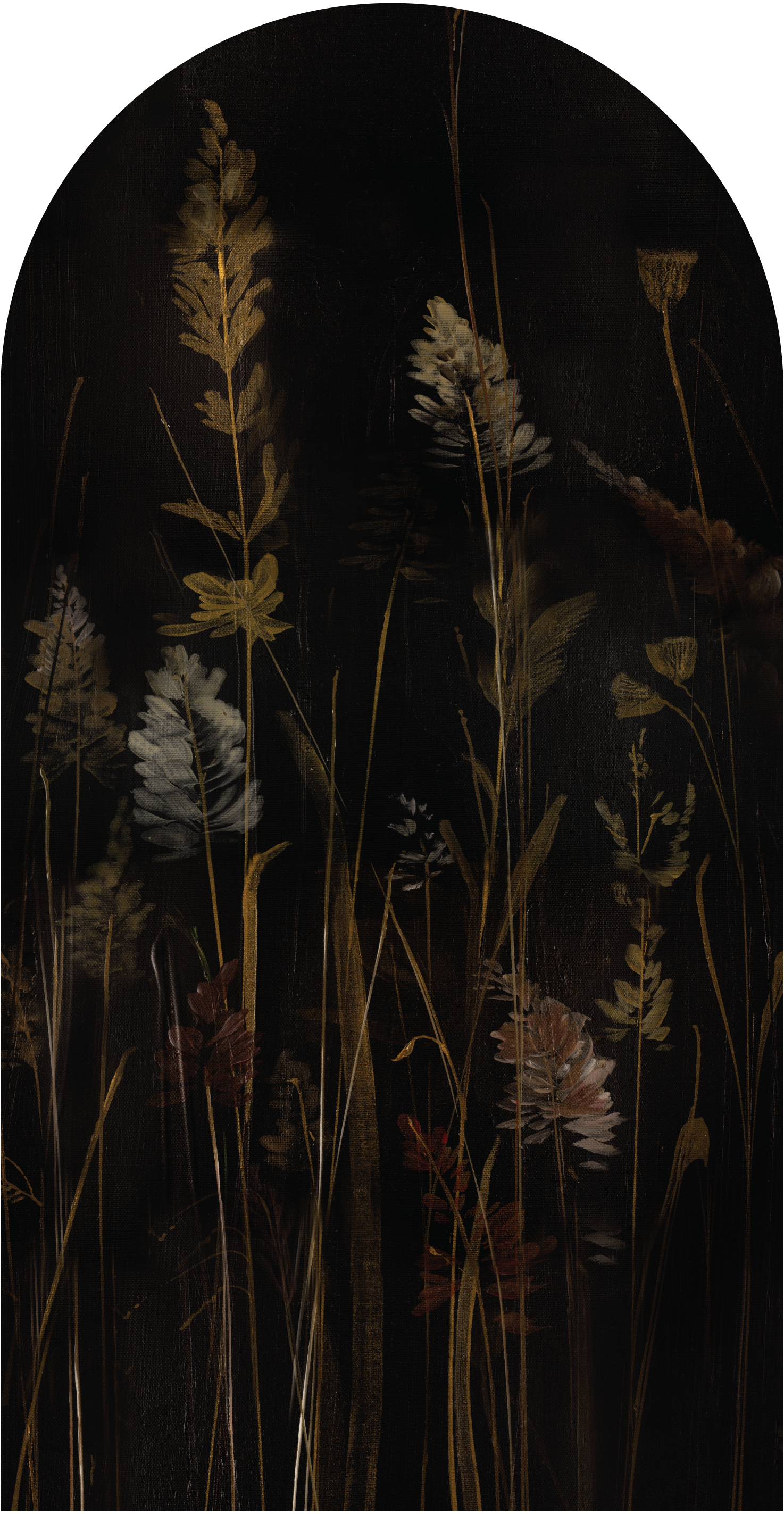Calamus – Tapeta Łuk Standard