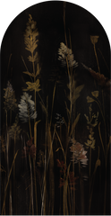 Calamus – Tapeta Łuk Standard