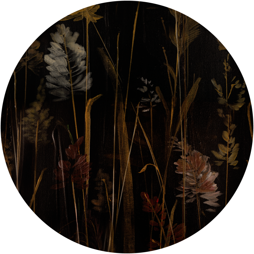 Calamus – Tapeta Koło Standard