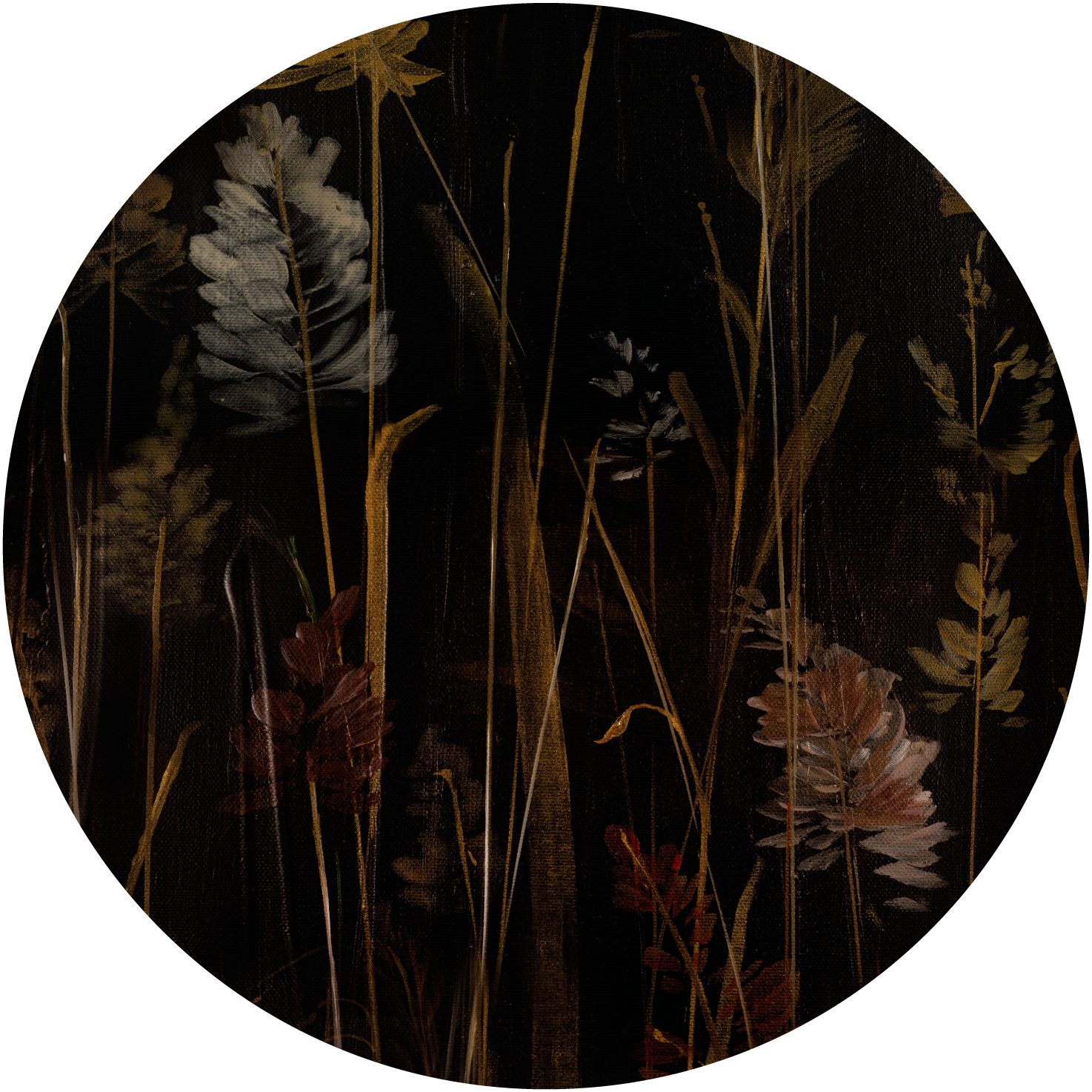 Calamus – Tapeta Koło Standard
