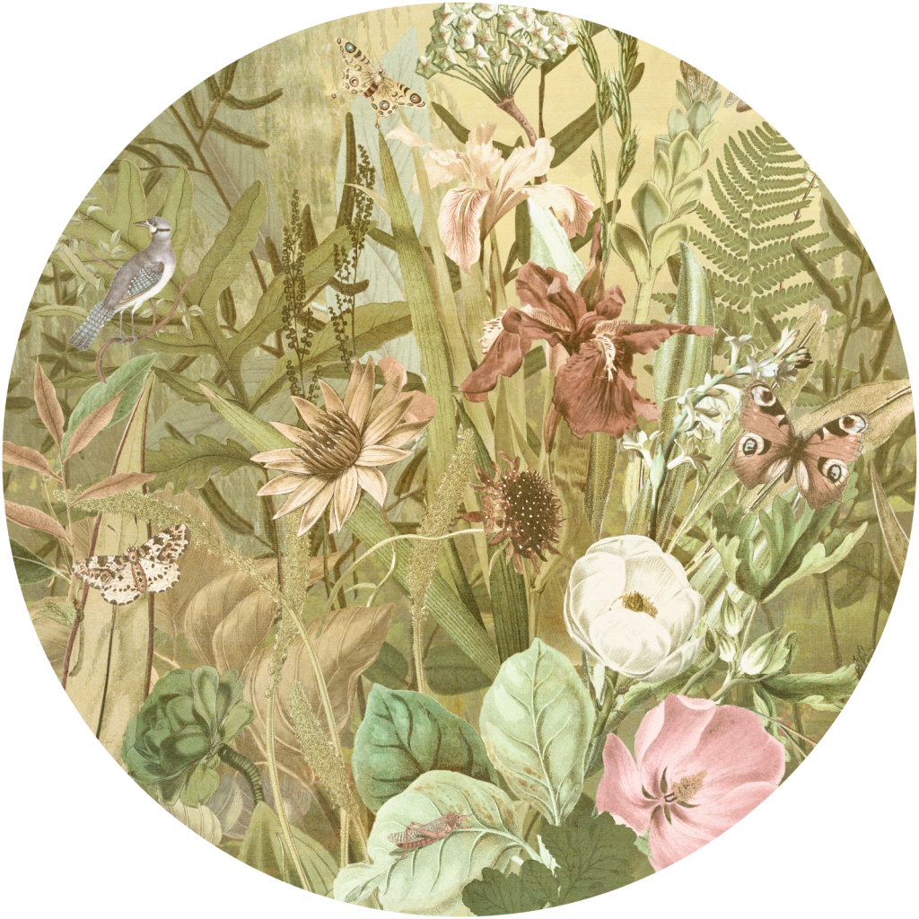 Bloom – Tapeta Koło Standard