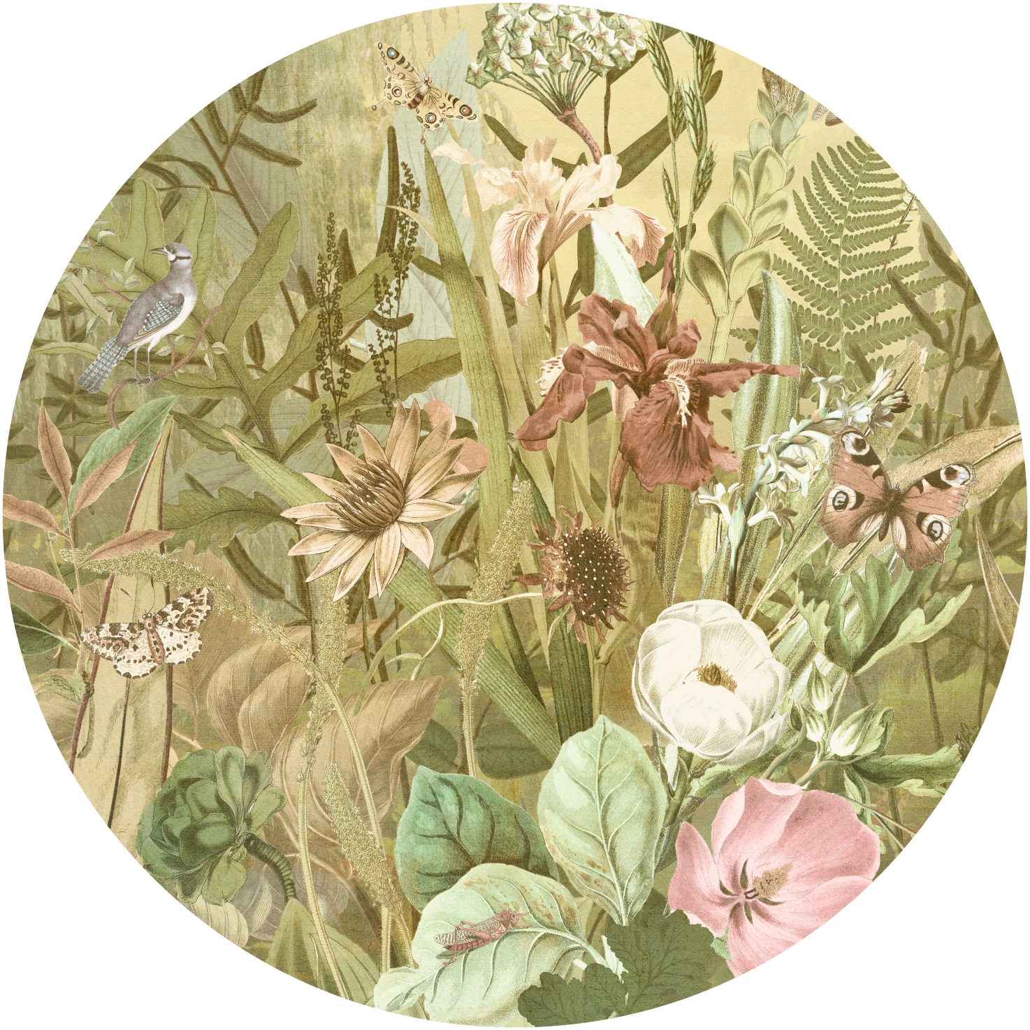 Bloom – Tapeta Koło Standard