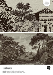 Cartagine – Próbka Tapety