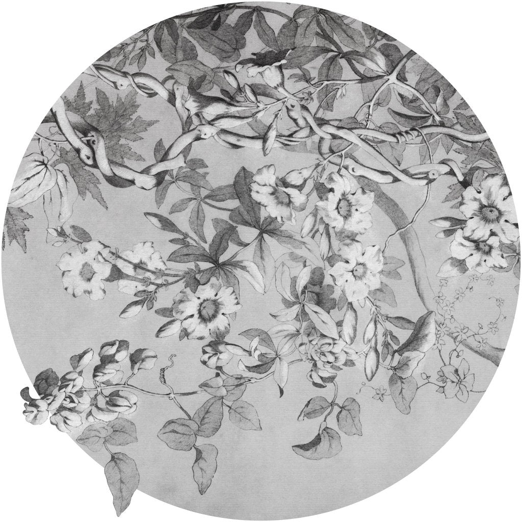 Alamanda – Tapeta Koło Standard