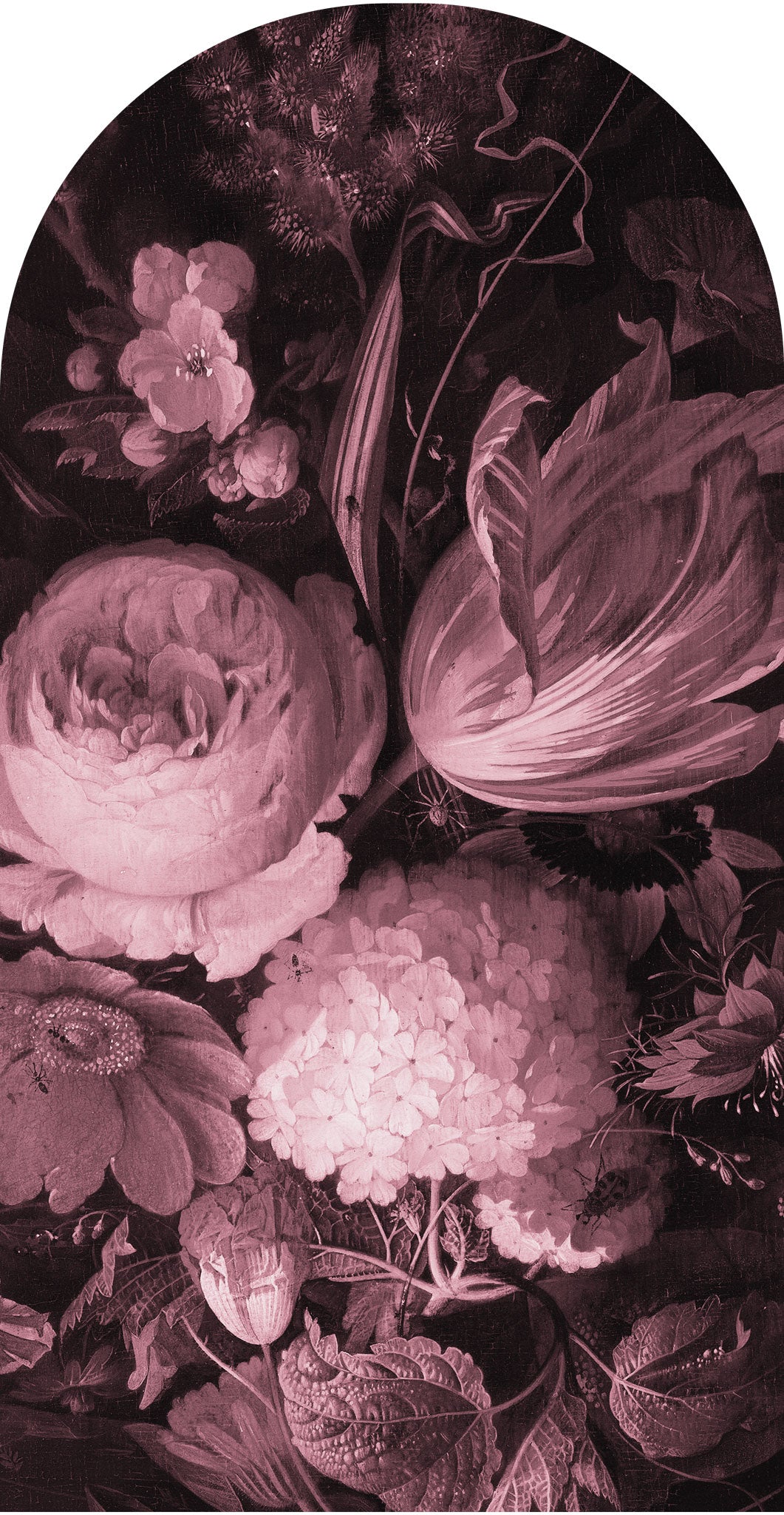 Boudoir Pink – Tapeta Łuk Standard