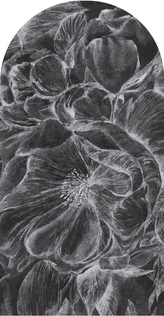 Brassica Dark – Tapeta Łuk Standard
