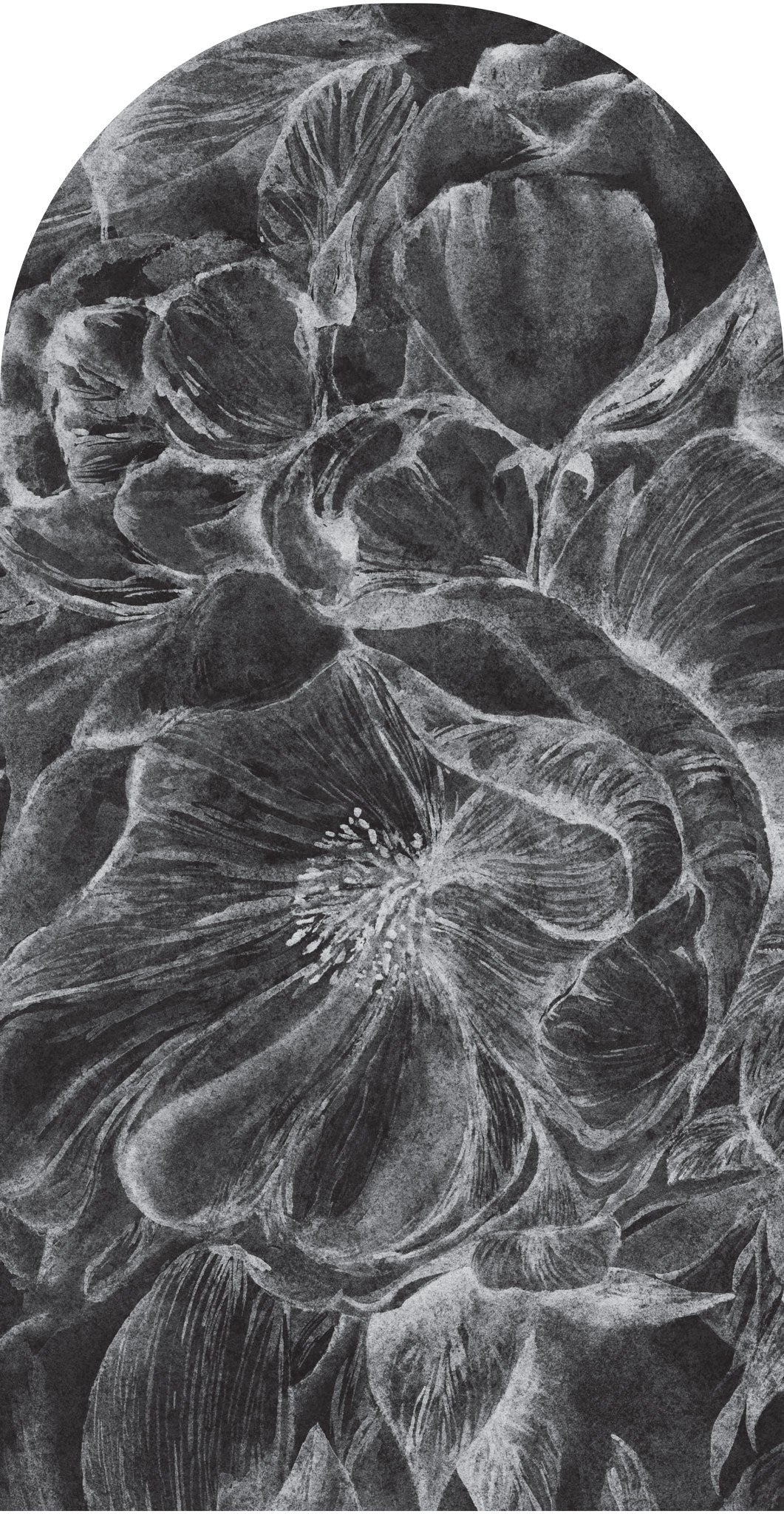 Brassica Dark – Tapeta Łuk Standard