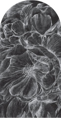 Brassica Dark – Tapeta Łuk Standard