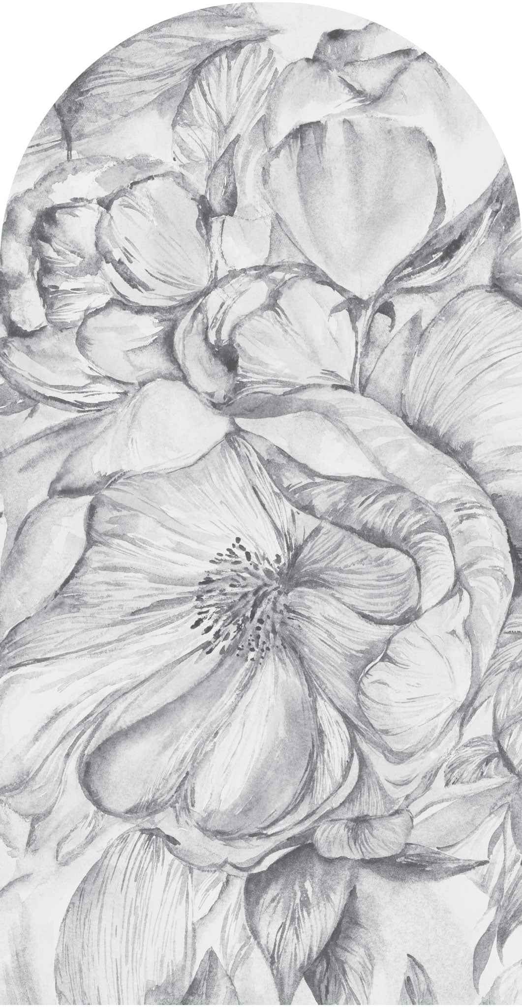 Brassica Light – Tapeta Łuk Standard