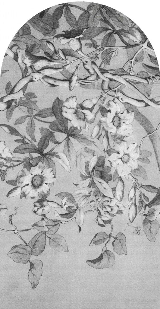 Alamanda – Tapeta Łuk Standard