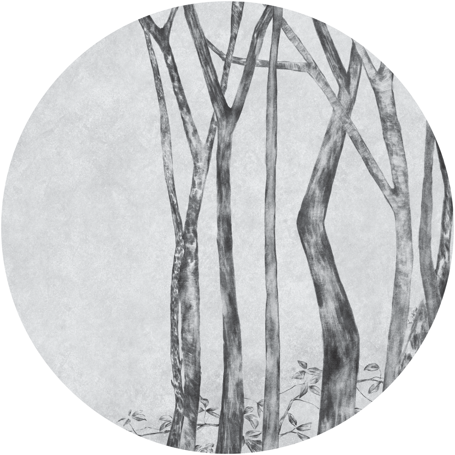 Betulla – Tapeta Koło Standard