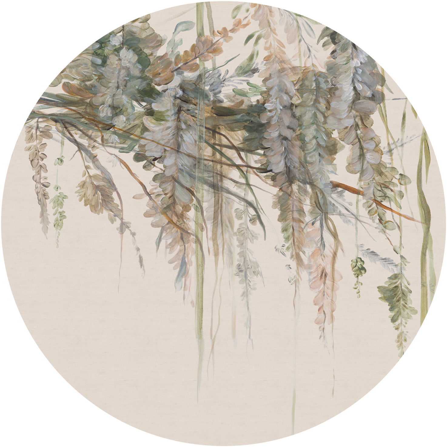 Acacia – Tapeta Koło Standard