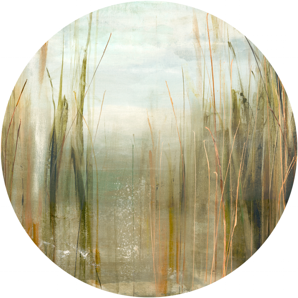 Canna – Tapeta Koło Standard