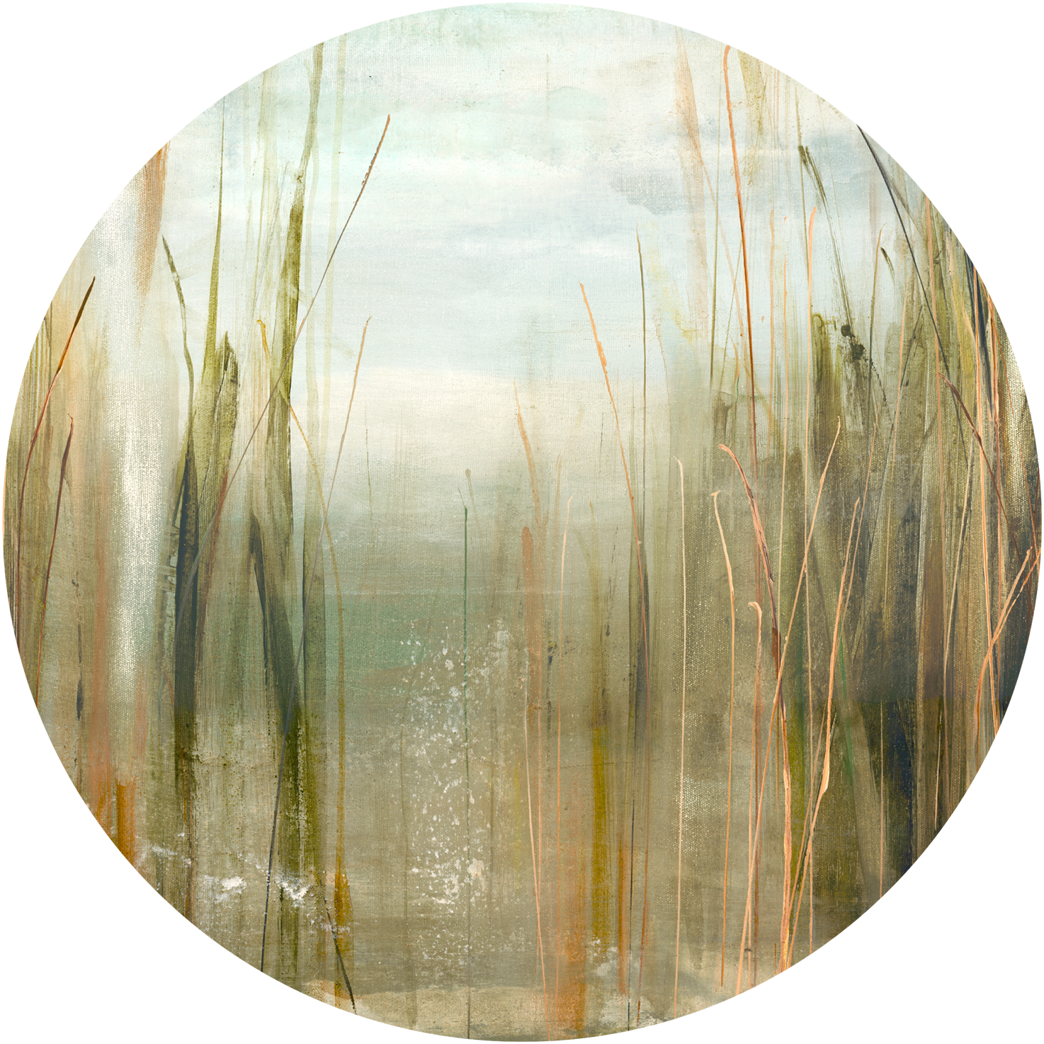 Canna – Tapeta Koło Standard