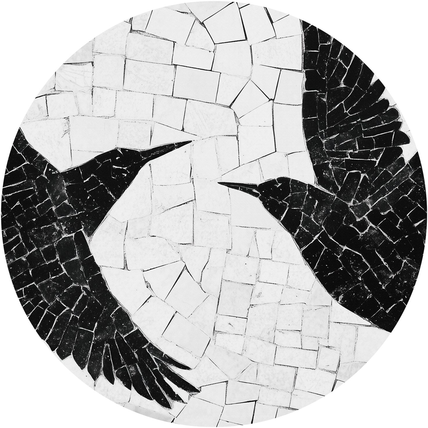 Birds – Tapeta Koło Standard