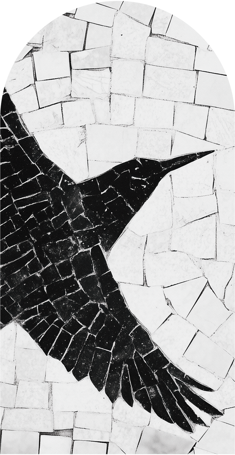 Birds – Tapeta Łuk Standard