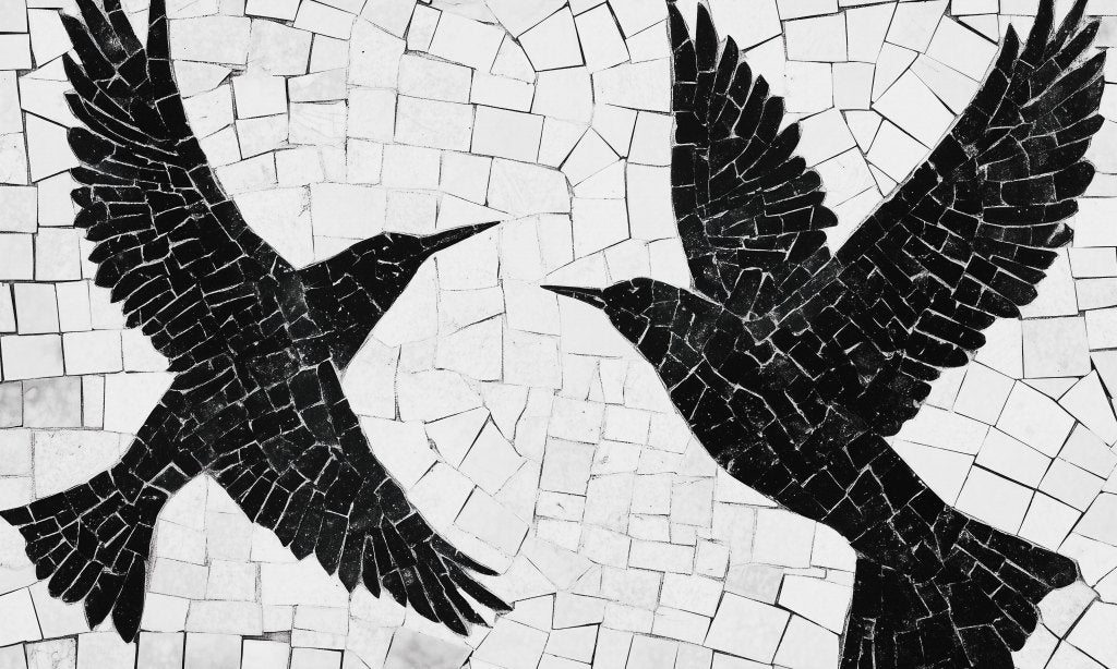 Birds – Tapeta na wymiar
