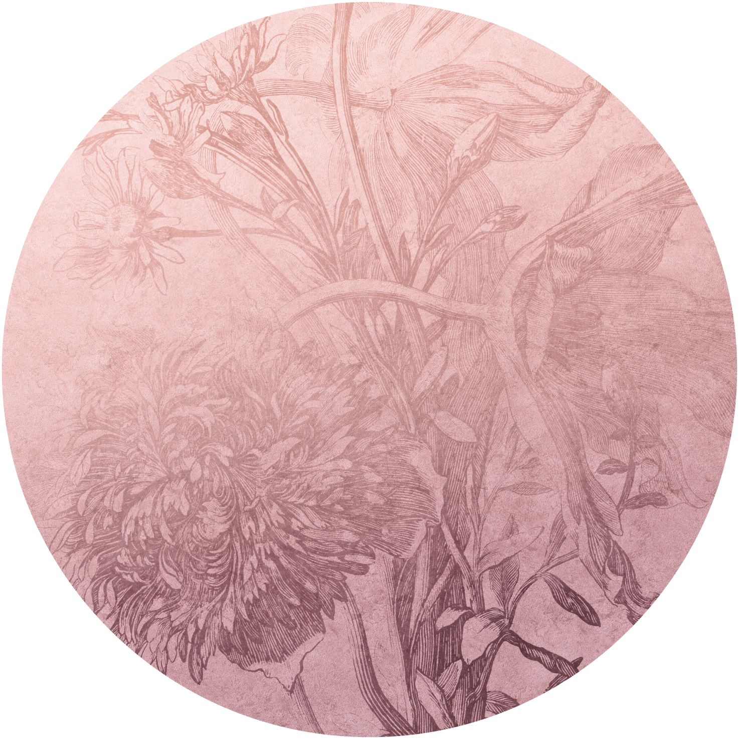Blossom Ombre Flower – Tapeta Koło Standard