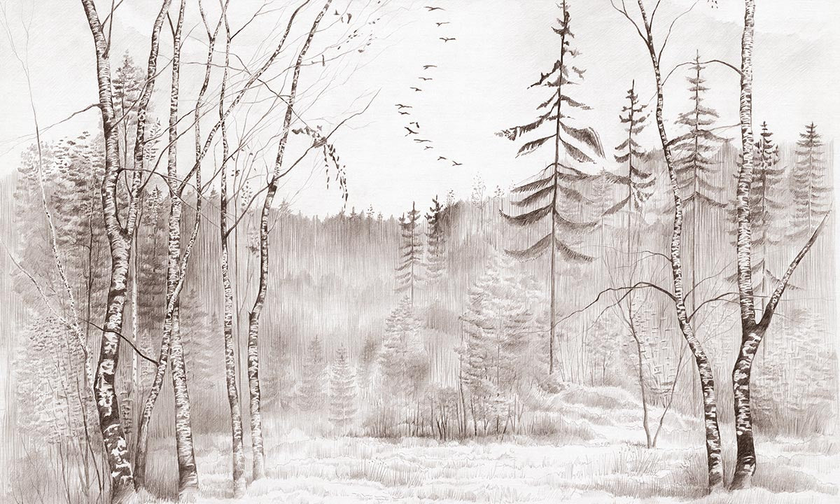 Bosco – Tapeta na wymiar