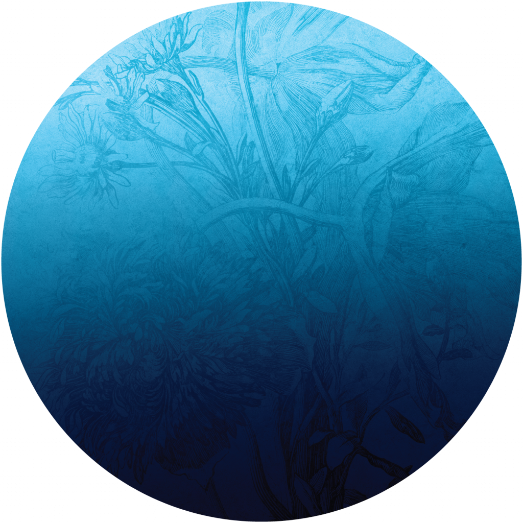 Blue Ombre Flower – Tapeta Koło Standard