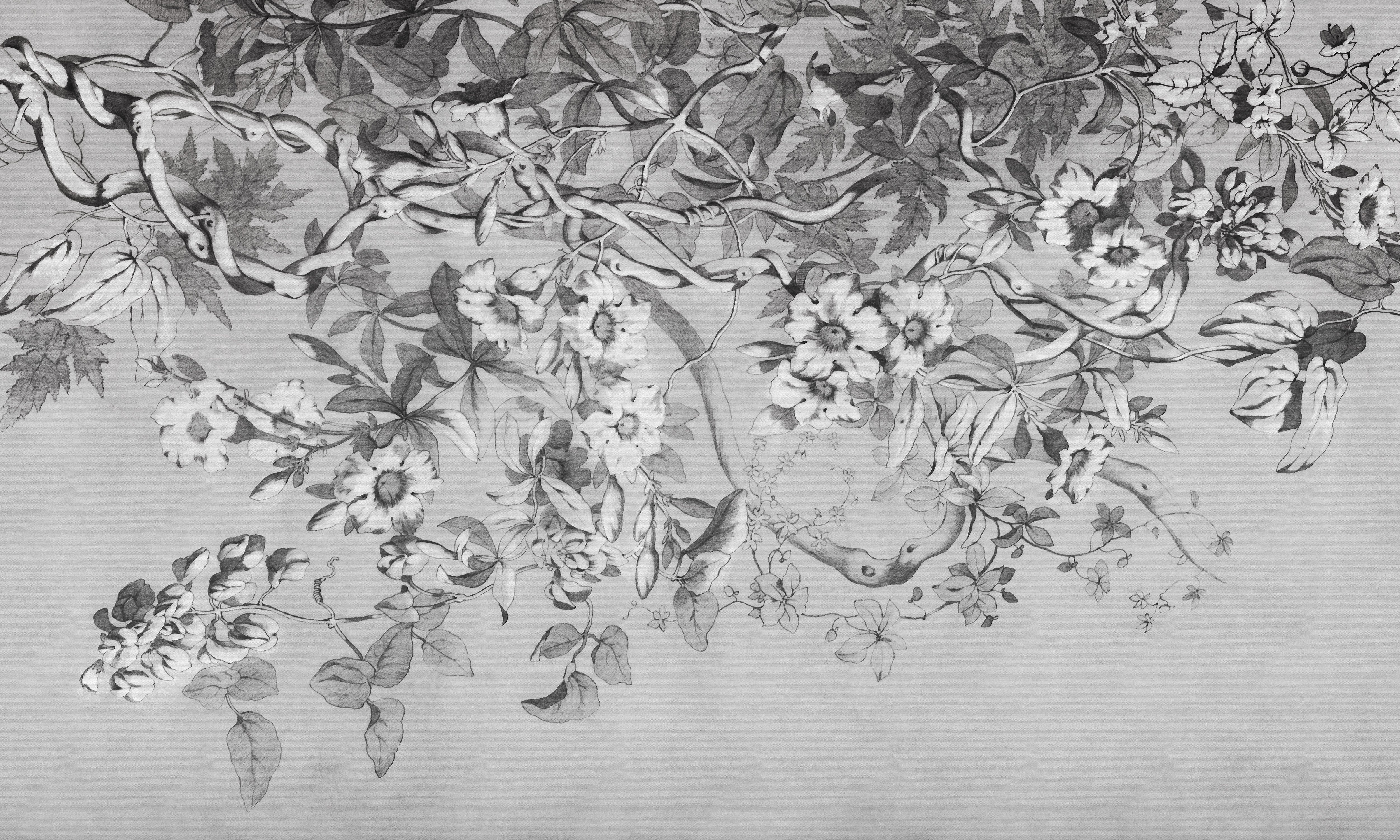 Alamanda – Tapeta na wymiar