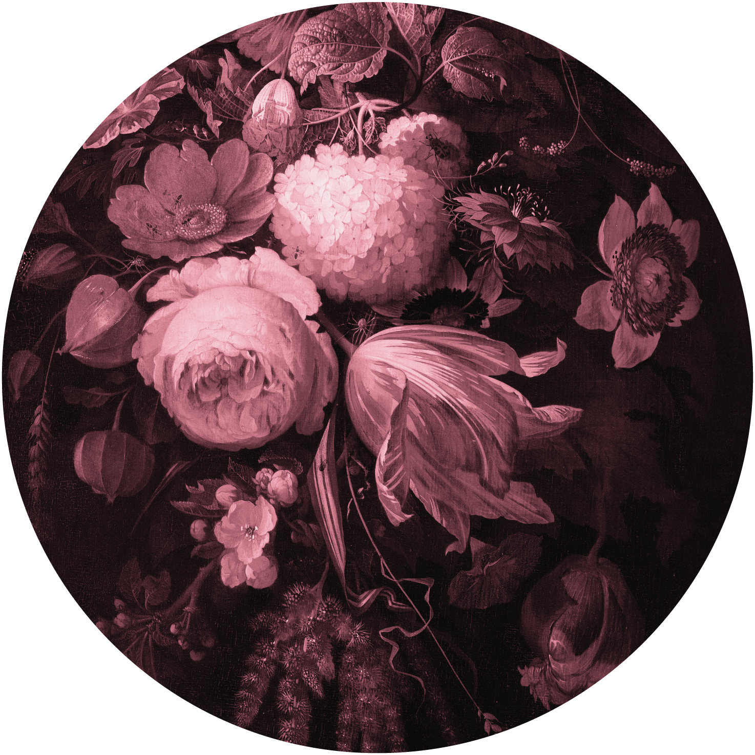 Boudoir Pink – Tapeta Koło Standard