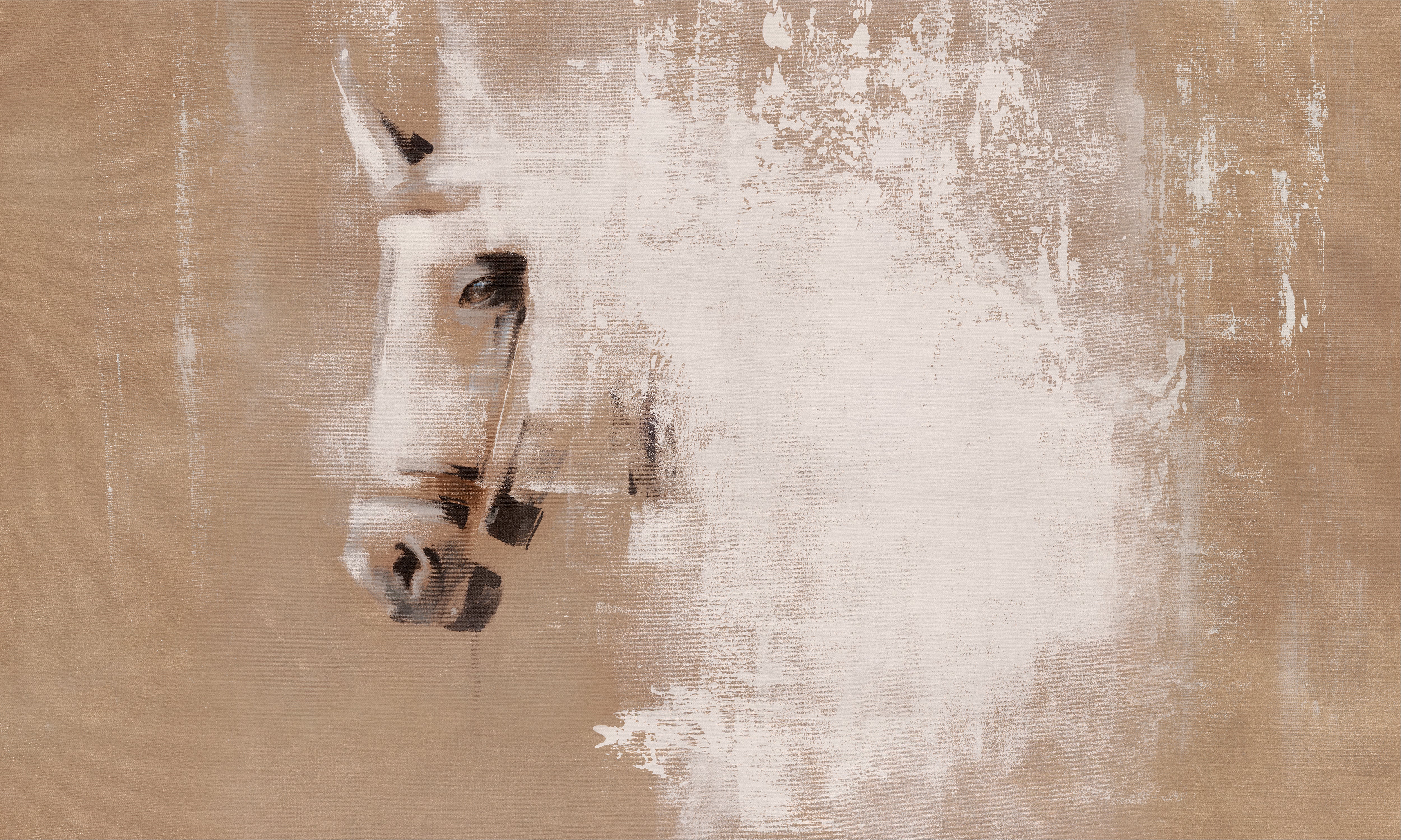 Cavallo – Tapeta na wymiar