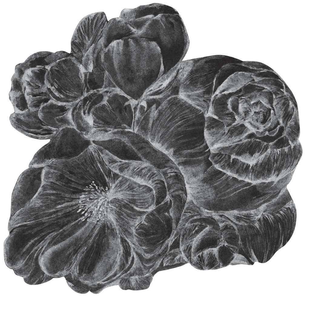 Brassica Dark – Tapeta Koło Standard