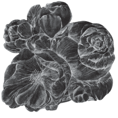 Brassica Dark – Tapeta Koło Standard