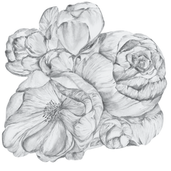 Brassica Light – Tapeta Koło Standard