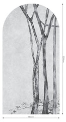 Betulla – Tapeta Łuk Standard