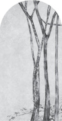 Betulla – Tapeta Łuk Standard