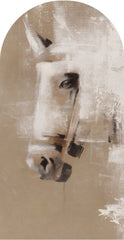 Cavallo – Tapeta Łuk Standard