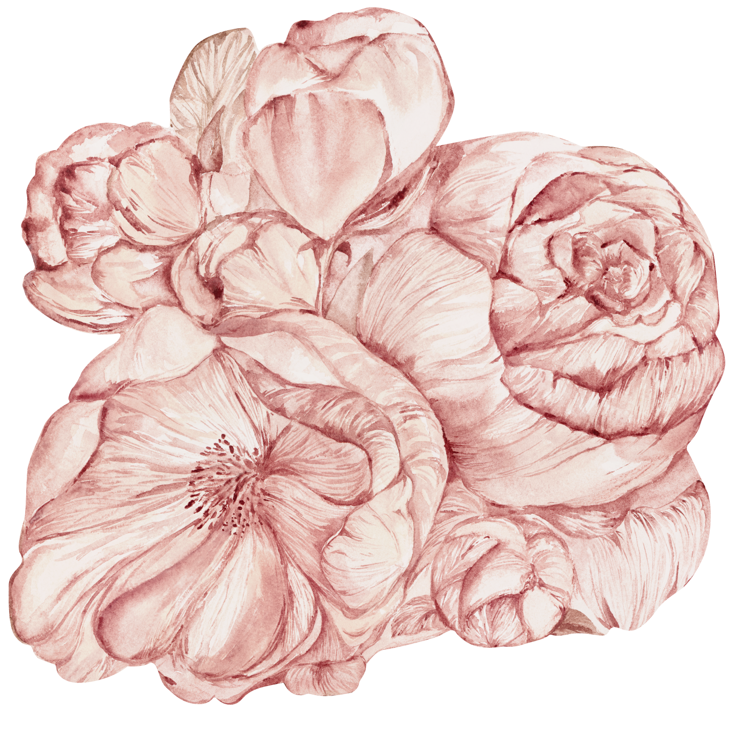 Brassica Pink – Tapeta Koło Standard