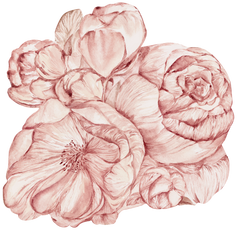 Brassica Pink – Tapeta Koło Standard