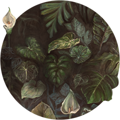 Calla – Tapeta Koło Standard