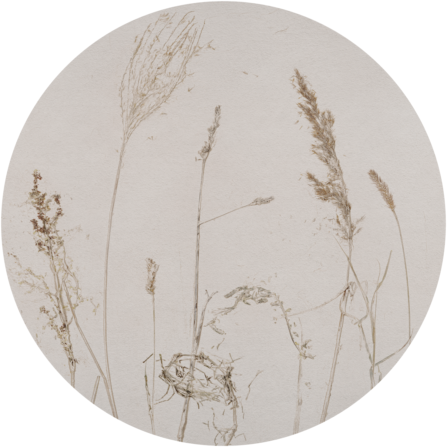 Campo di Avena – Tapeta Koło Standard