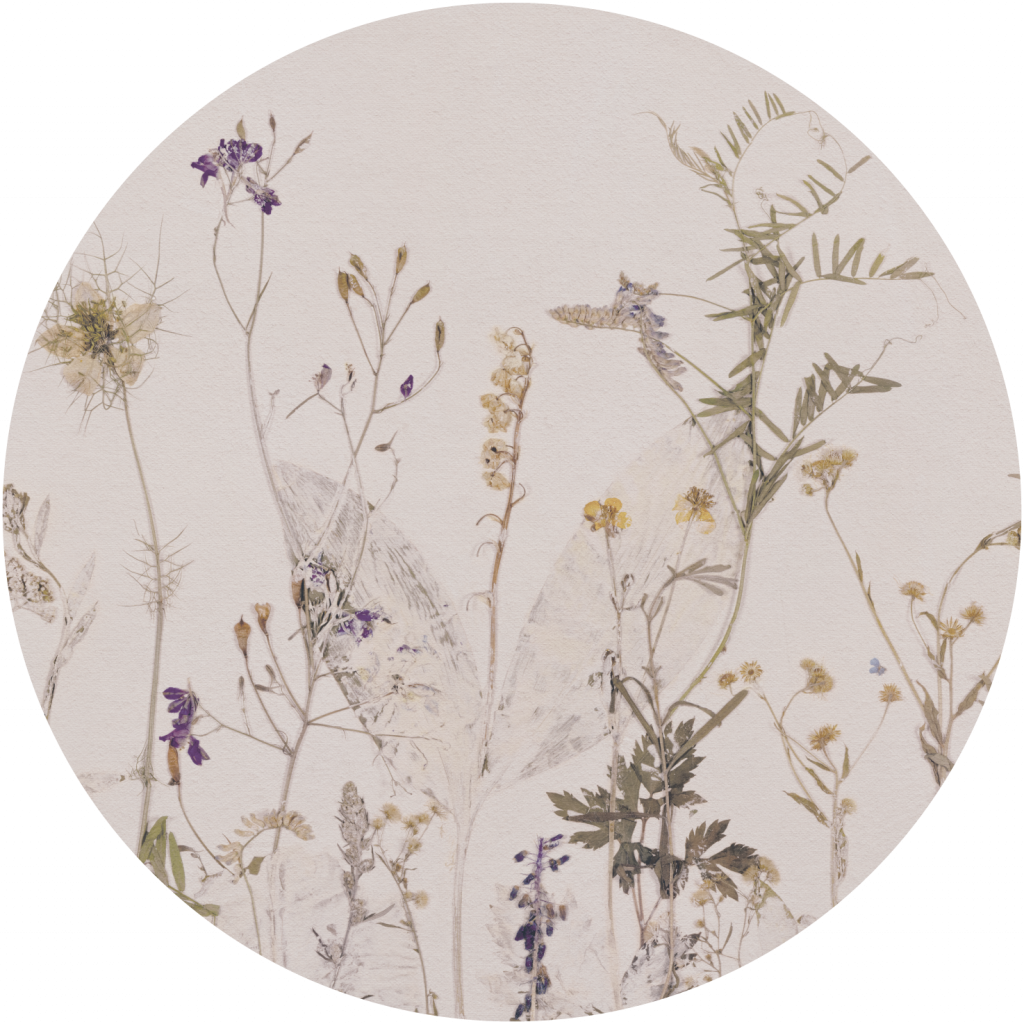 Campo di Erbe – Tapeta Koło Standard